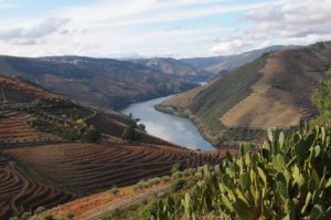 Marcas Port, Douro e Porto protegidas no Reino Unido